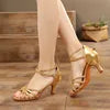 Women's Professional Latin Ballroom Salsa Dance Shoes with 5/7cm Heel Factory Wholesale Soft Ballet Style for Girls